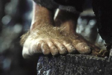 Image for Are Hobbits' feet hot?