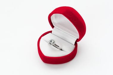 Image for Will you marry me -- once you're done peeing?