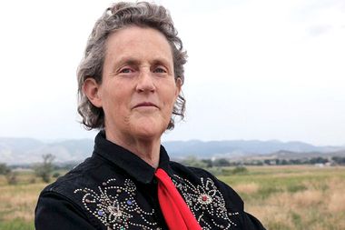 Image for Temple Grandin on DSM-5: 