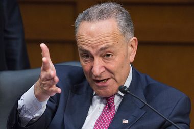 Image for Chuck Schumer: I'm 