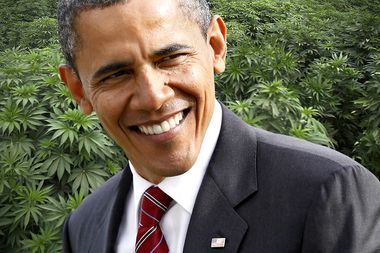 Image for GOP's pot stunt earns a White House veto threat: Another sign of Dems' evolution on marijuana