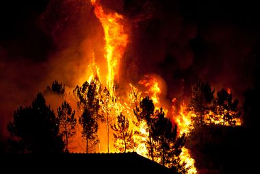 Image for The West's $1 billion wildfire season