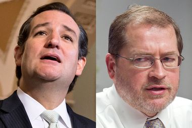 Image for Grover Norquist bashes Ted Cruz