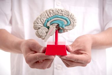 Image for Peek inside your own brain! The rise of DIY neuroscience