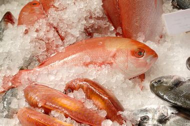 Image for America's seafood nightmare: Why the USA needs to rethink its fish