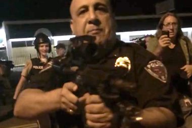 Image for More madness at Ferguson: Watch this officer point his rifle at protesters
