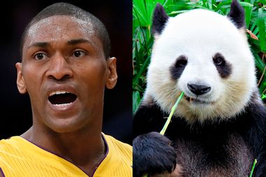 Image for Metta World Peace changes name again; steals our hearts