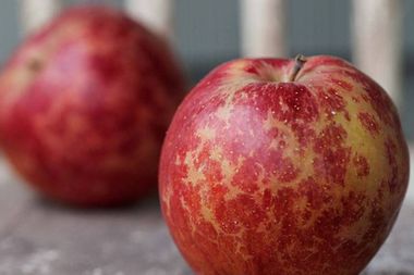 Image for 12 absolutely delicious apples you've probably never tasted