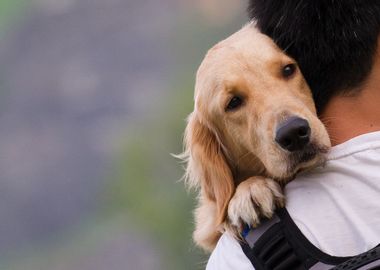 Image for Science proves that you love your dog like a baby