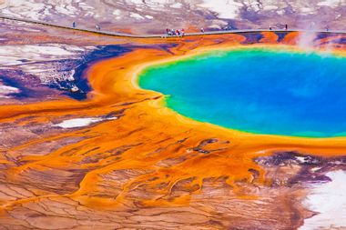 Image for The shameful, disgusting reason why Yellowstone's thermal springs are so beautiful