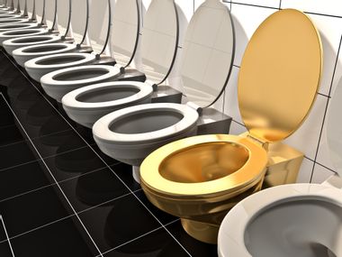 Image for We are literally flushing millions of dollars worth of gold down the toilet, scientists say
