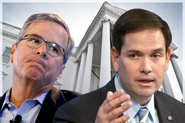 Jeb Bush, Marco Rubio