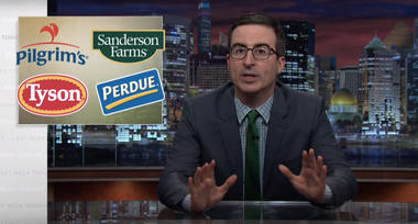 Image for John Oliver destroys “‘chicken-f*cker” lawmakers who let big companies drive farmers below the poverty line