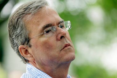 Jeb Bush