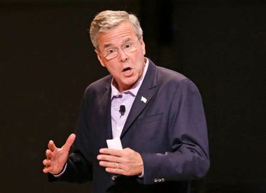 Jeb Bush