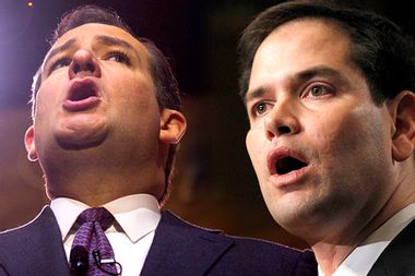 Ted Cruz, Marco Rubio