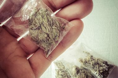 Bags of Marijuana