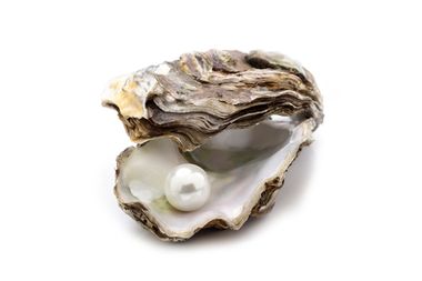 Oyster Pearl