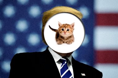 Trump and cat