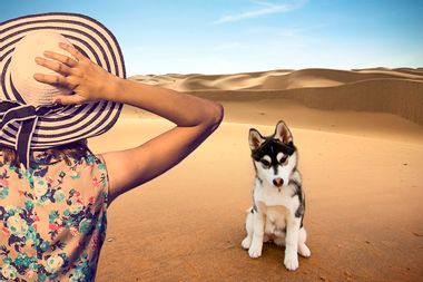 Woman; Dog