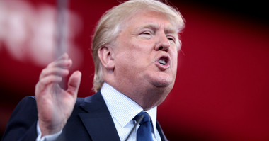 Politics Article