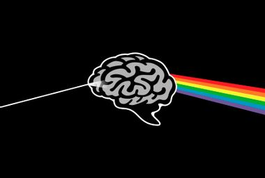 Brain Prism