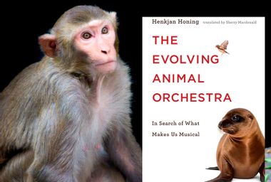 "The Evolving Animal Orchestra: In Search of What Makes Us Musical" By Henkjan Honing
