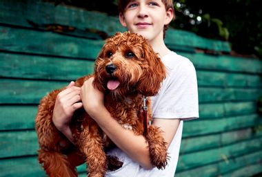 Teenage boy holding a puppy dog