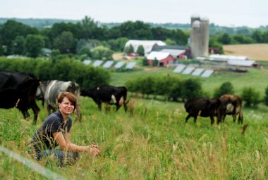 Image for On-farm solar grows as farmers see economic rewards — and risks