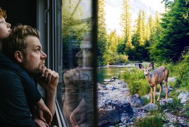 Person looking out at nature from their window