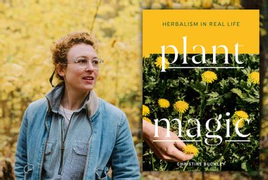 Plant Magic; Christine Buckley