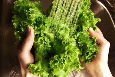 A person washing a head of lettuce