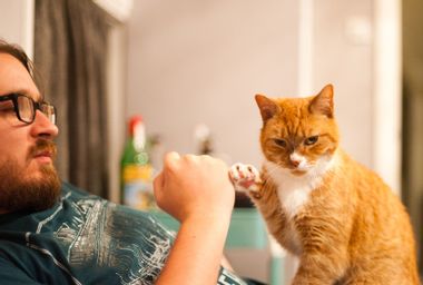 Man and cat do a fist bump