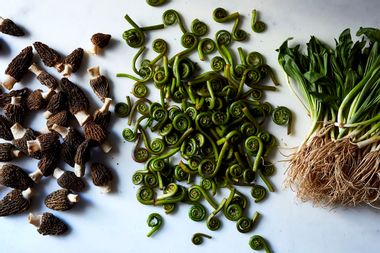 My mom has always foraged. A year into the pandemic, I understand why Latest Article