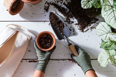 10 nifty raised garden bed ideas we’re stealing for our yards Latest Article