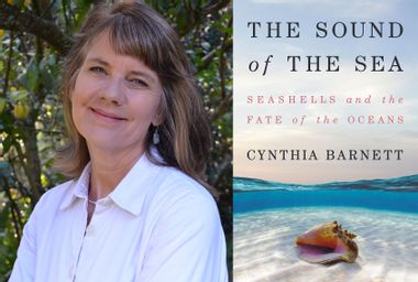 The Sound Of The Sea; Cynthia Barnett