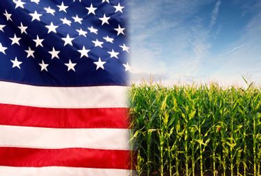 American flag; corn field