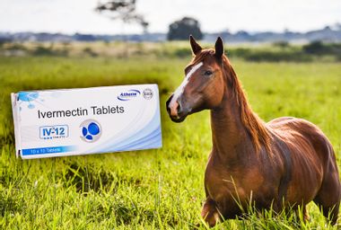 Horse; Ivermectin Tablets