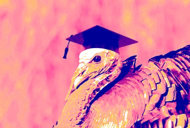 Turkey with a graduation cap