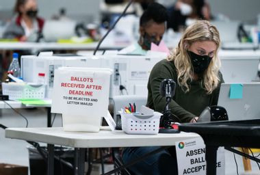 Georgia Election Worker