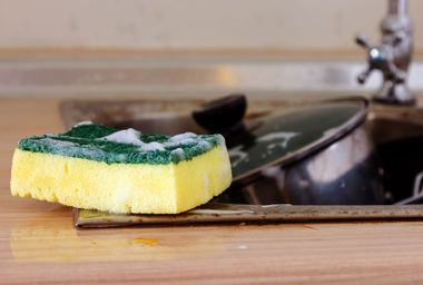 Kitchen Sponge By Dirty Dishes