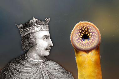King Henry I and a Lamprey