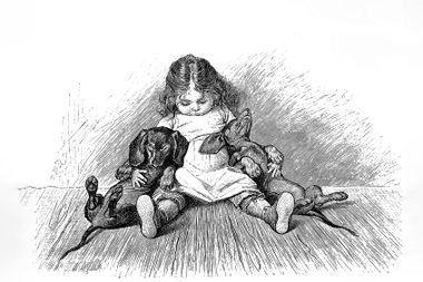 Cute scene with sleeping small girl and two dachshunds