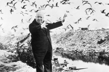 Alfred Hitchcock surrounded by birds