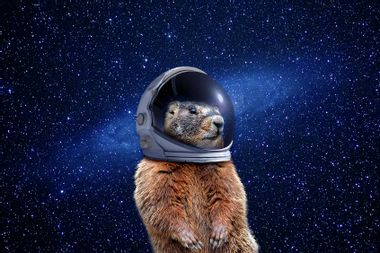 Groundhog in Space