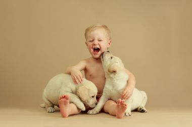 Child and puppies