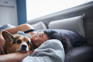 Adult woman lying in bed with dog