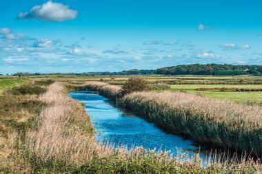 UK Norfolk Coast Waterway Marsh