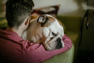 Man hugging dog