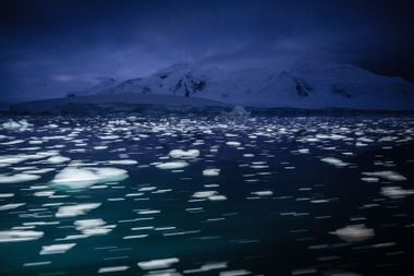 Melting icebergs Horseshoe Island Antarctica